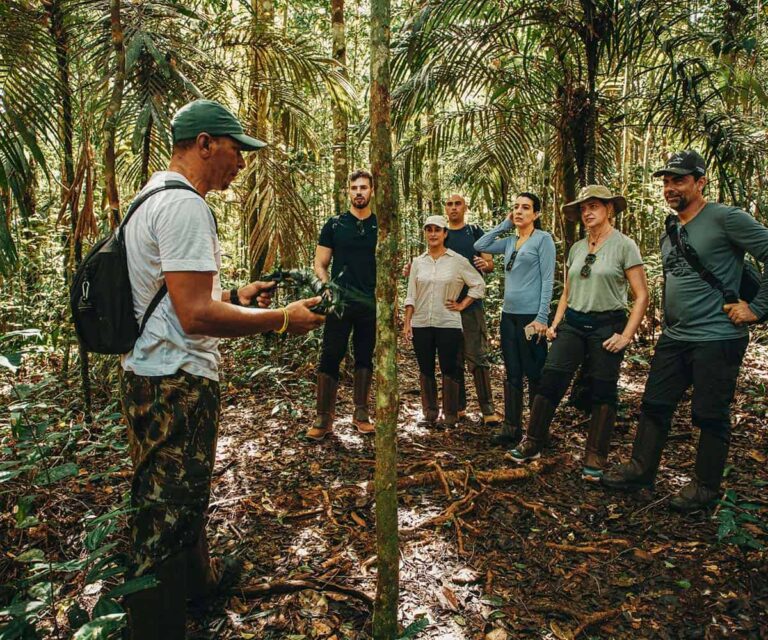 best luxury stays in the Amazon