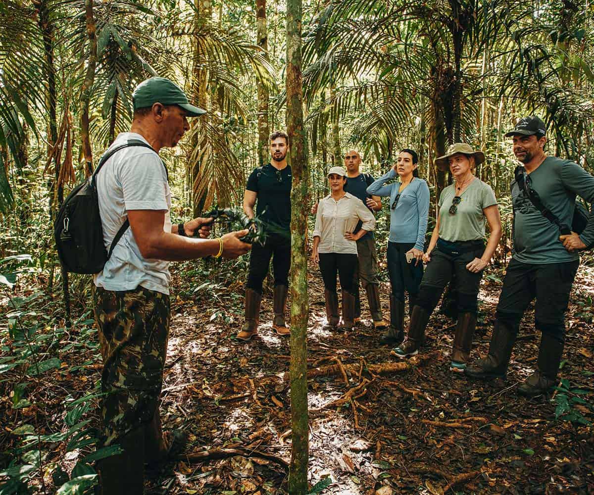 best luxury stays in the Amazon