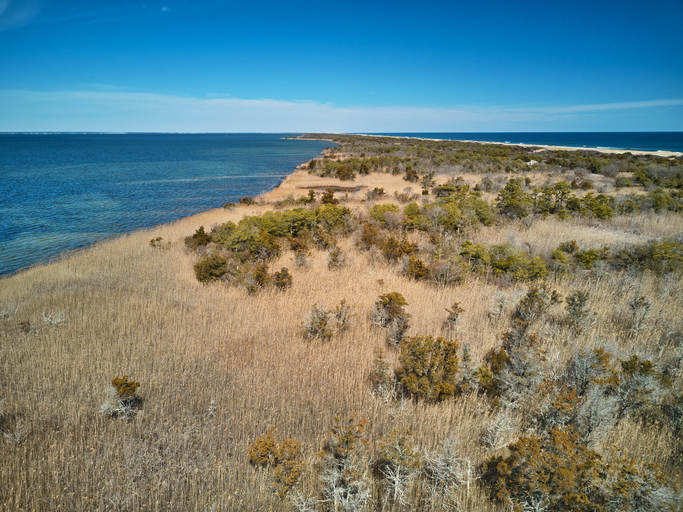 Island Beach State Park